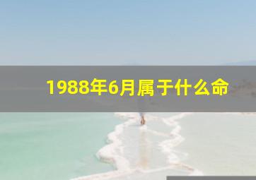 1988年6月属于什么命