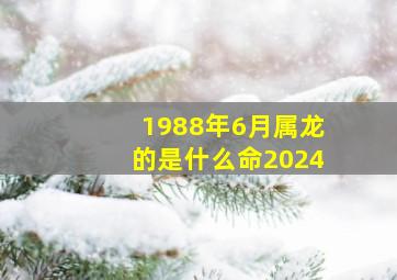 1988年6月属龙的是什么命2024