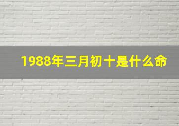 1988年三月初十是什么命