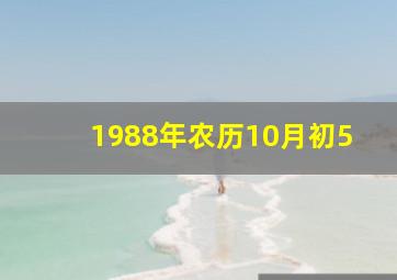 1988年农历10月初5