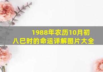 1988年农历10月初八巳时的命运详解图片大全