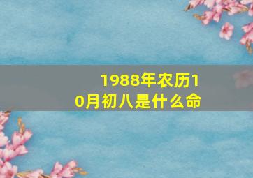 1988年农历10月初八是什么命