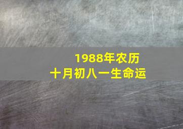 1988年农历十月初八一生命运