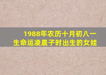 1988年农历十月初八一生命运凌晨子时出生的女娃