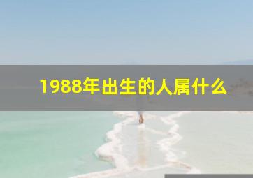 1988年出生的人属什么