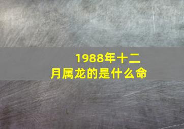 1988年十二月属龙的是什么命