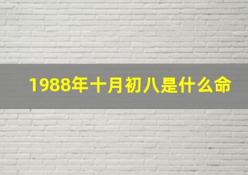 1988年十月初八是什么命