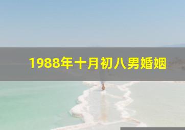 1988年十月初八男婚姻