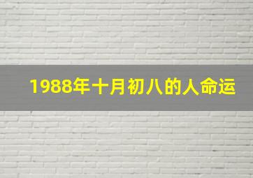 1988年十月初八的人命运