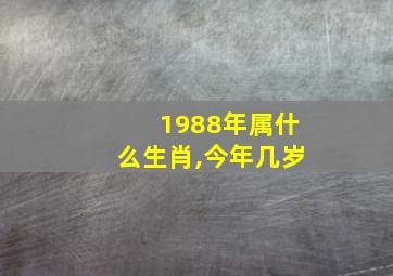 1988年属什么生肖,今年几岁