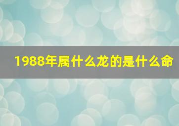 1988年属什么龙的是什么命