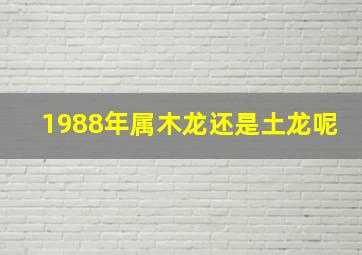 1988年属木龙还是土龙呢