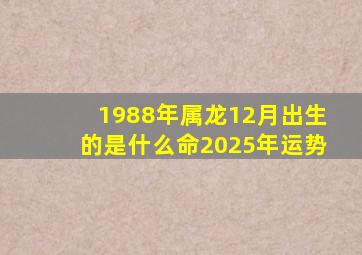 1988年属龙12月出生的是什么命2025年运势