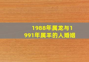 1988年属龙与1991年属羊的人婚姻