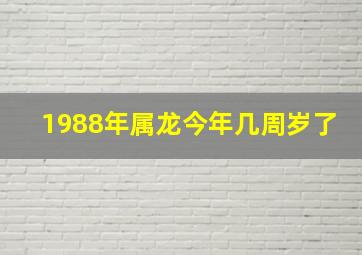 1988年属龙今年几周岁了