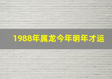 1988年属龙今年明年才运