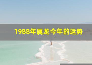 1988年属龙今年的运势