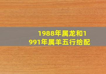 1988年属龙和1991年属羊五行给配