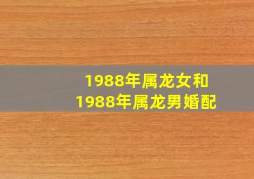 1988年属龙女和1988年属龙男婚配