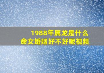 1988年属龙是什么命女婚姻好不好呢视频