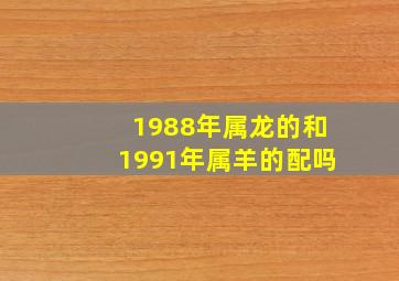 1988年属龙的和1991年属羊的配吗