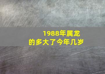 1988年属龙的多大了今年几岁