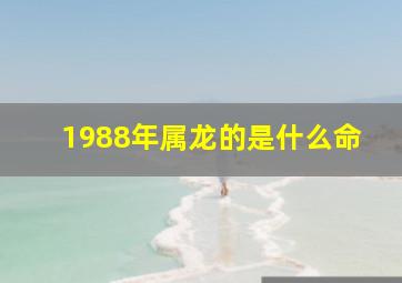 1988年属龙的是什么命