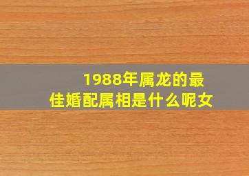 1988年属龙的最佳婚配属相是什么呢女