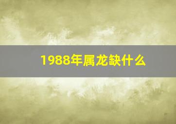 1988年属龙缺什么