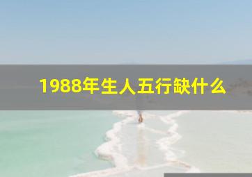 1988年生人五行缺什么