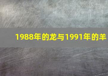 1988年的龙与1991年的羊