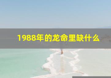 1988年的龙命里缺什么