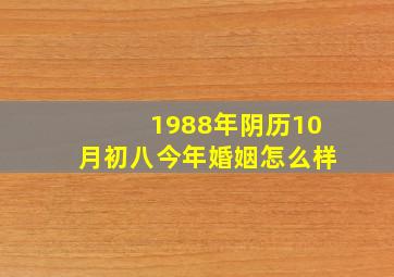 1988年阴历10月初八今年婚姻怎么样