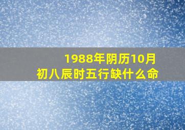 1988年阴历10月初八辰时五行缺什么命