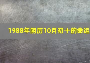 1988年阴历10月初十的命运