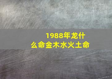 1988年龙什么命金木水火土命