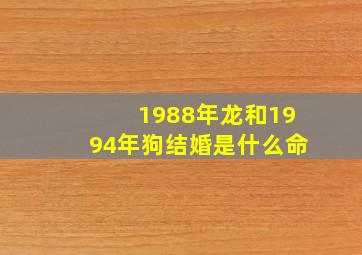 1988年龙和1994年狗结婚是什么命