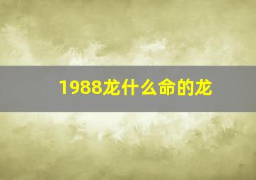 1988龙什么命的龙