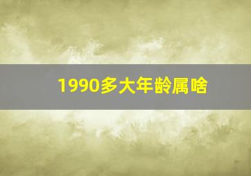 1990多大年龄属啥