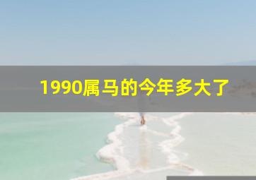 1990属马的今年多大了