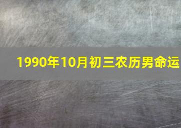 1990年10月初三农历男命运