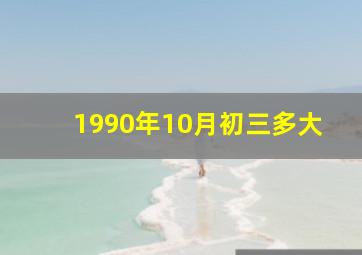 1990年10月初三多大