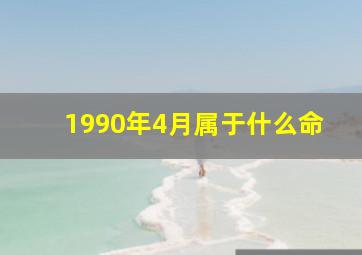 1990年4月属于什么命