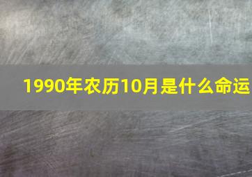 1990年农历10月是什么命运