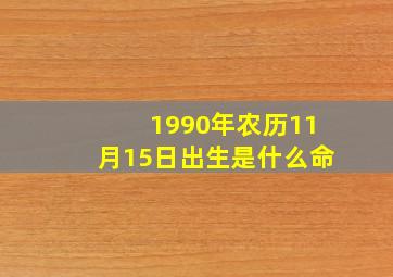 1990年农历11月15日出生是什么命