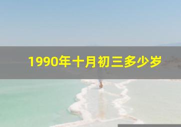 1990年十月初三多少岁