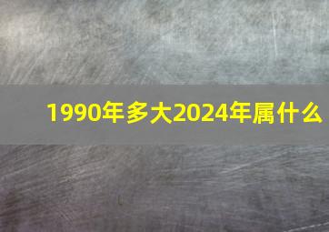 1990年多大2024年属什么