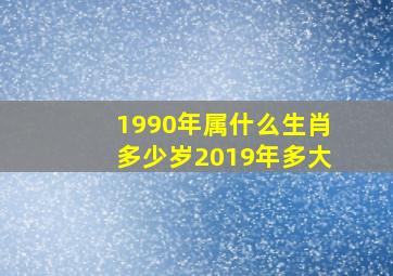 1990年属什么生肖多少岁2019年多大