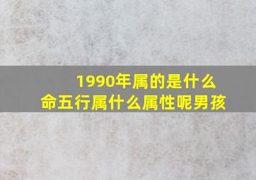 1990年属的是什么命五行属什么属性呢男孩