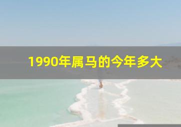 1990年属马的今年多大